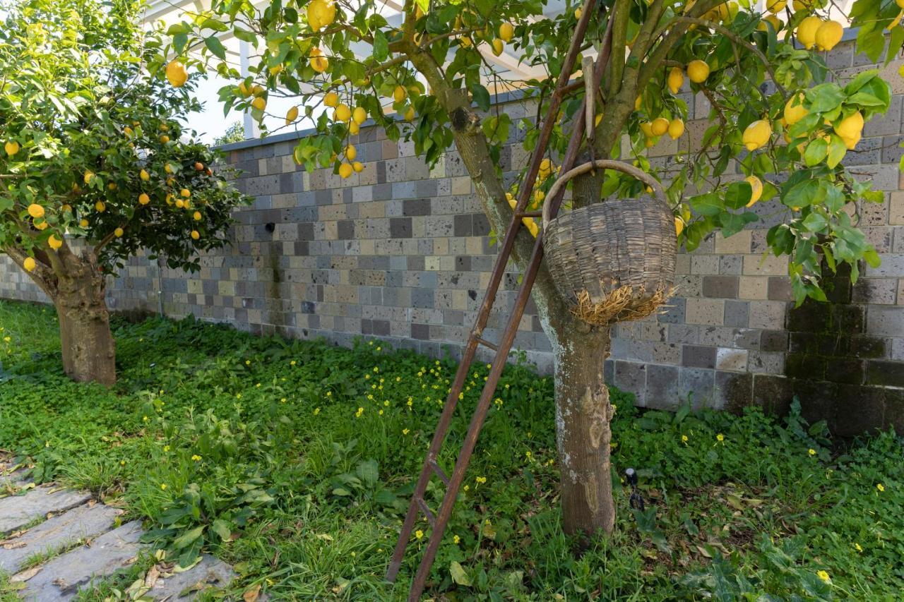 Tenuta Di Leva ピアーノ・ディ・ソッレント エクステリア 写真